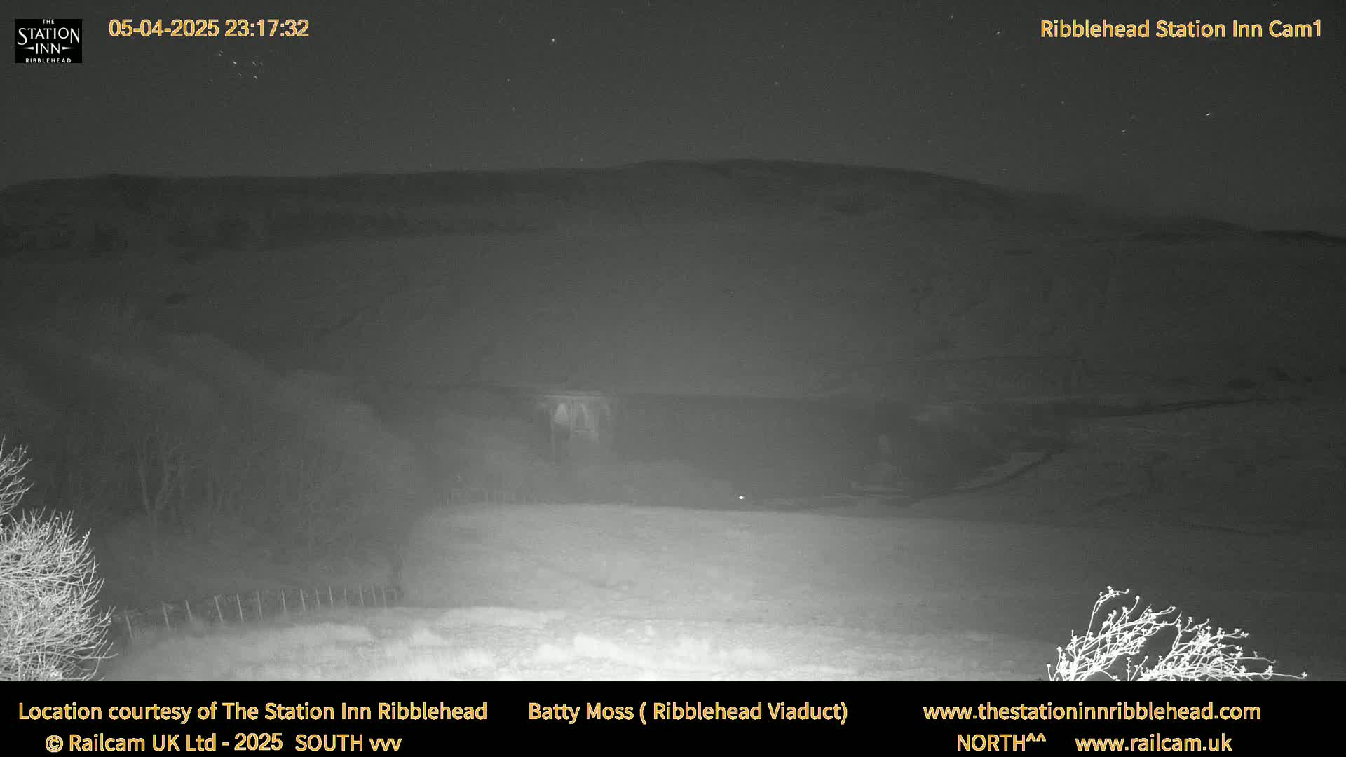 A nighttime, low-light view of a snow-covered landscape with a dark hill in the background under a clear, starry sky.