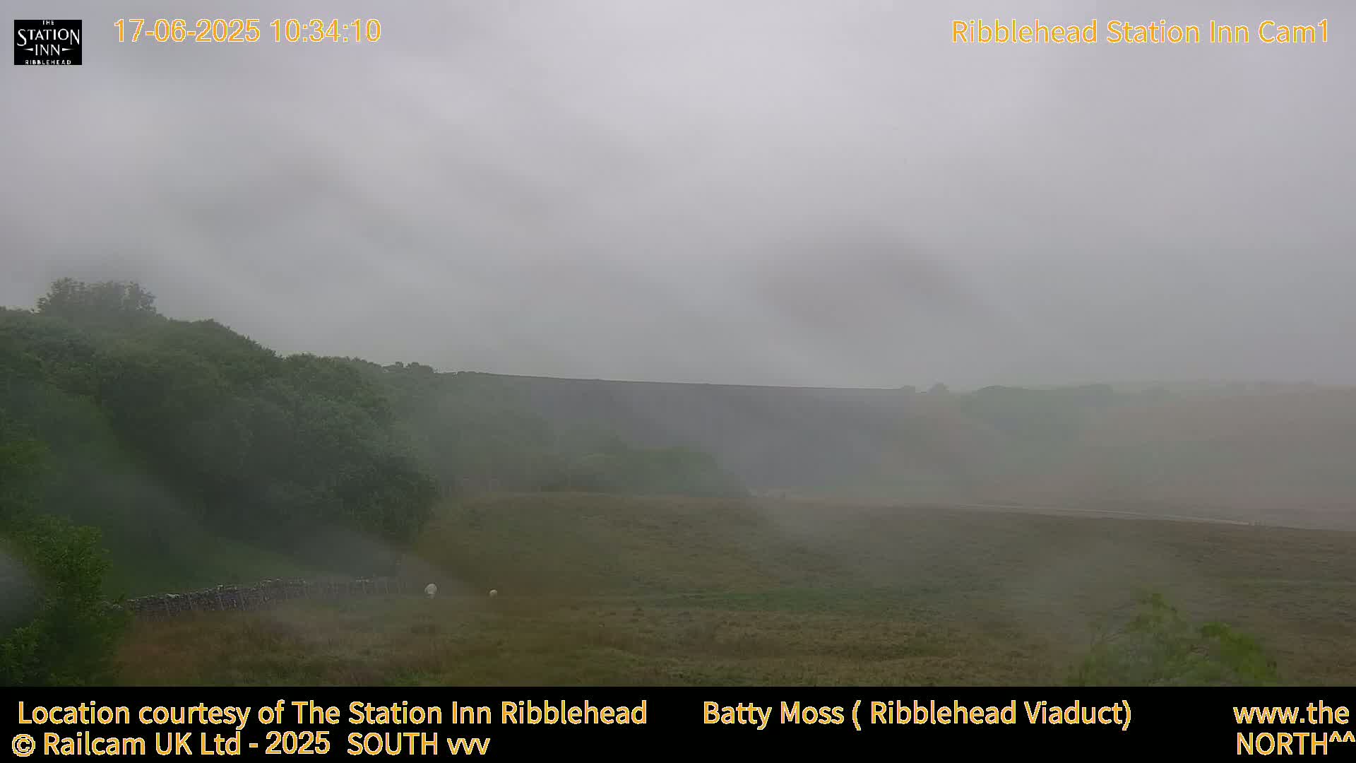 A foggy landscape shows a grassy field, a distant wall, and a few sheep, all shrouded in mist.