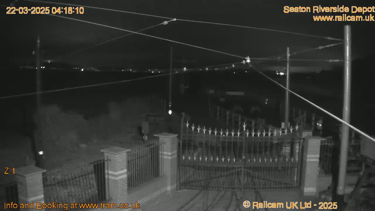 A nighttime, black-and-white view of a closed metal gate, with power lines overhead and distant lights visible in the background.