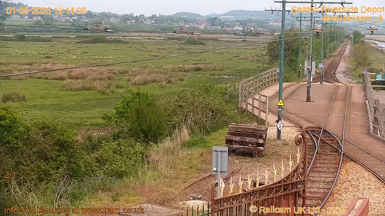An overcast view of a train depot with railway tracks and overgrown vegetation surrounding it.