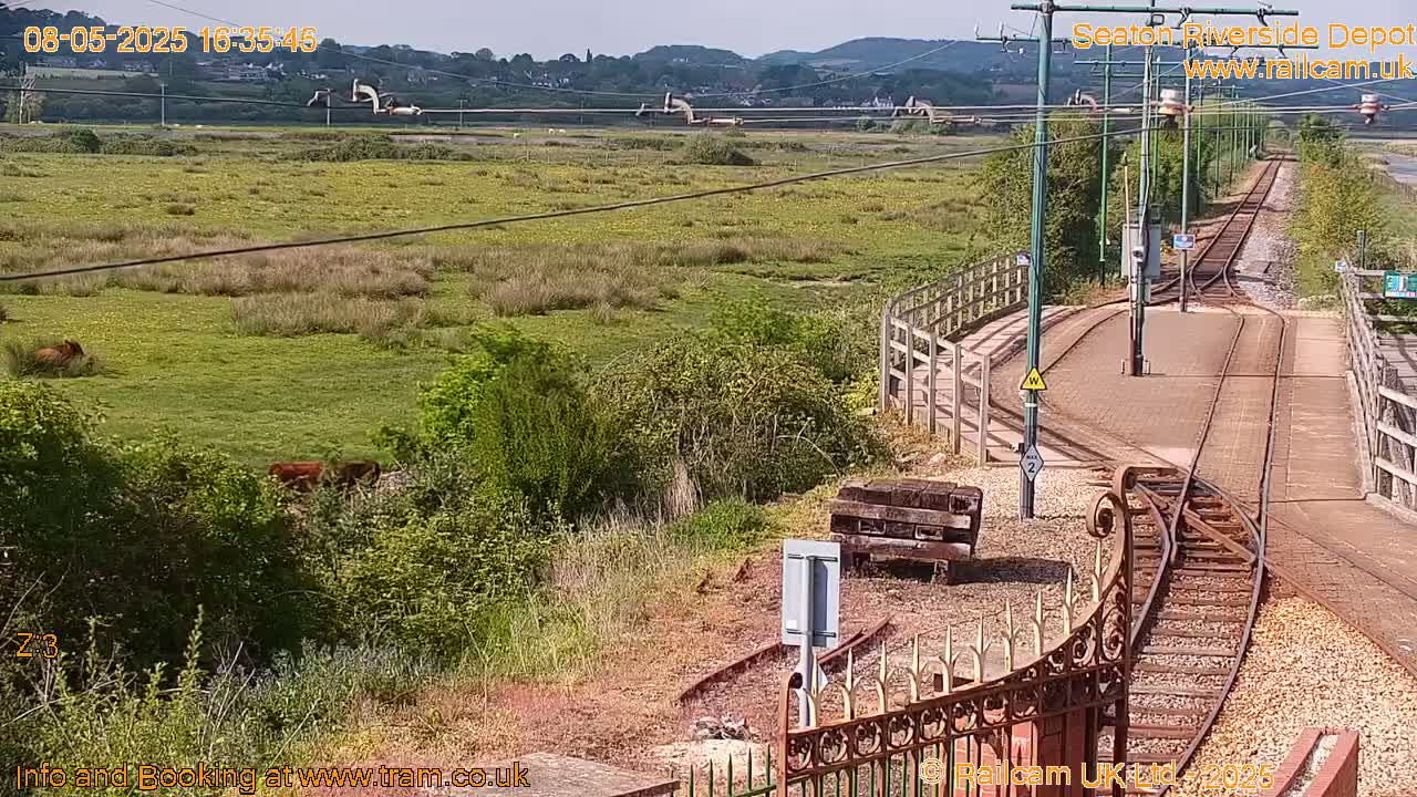A sunny view of a railway line winding through a grassy field with cattle grazing, and hills in the distance.