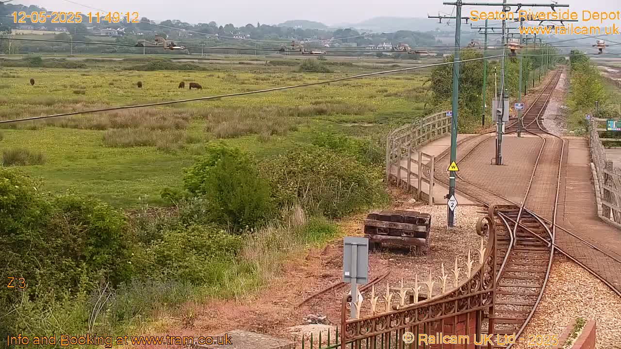 A train depot with railway tracks and switching mechanisms is situated near a grassy field with a few animals, under an overcast sky.