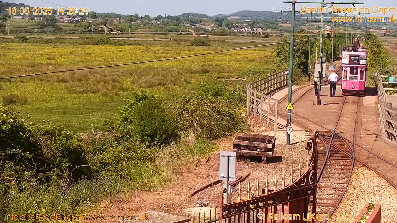 A pink tram travels along tracks toward a person walking on a sunny day, passing a field of yellow wildflowers and a hillside in the background.