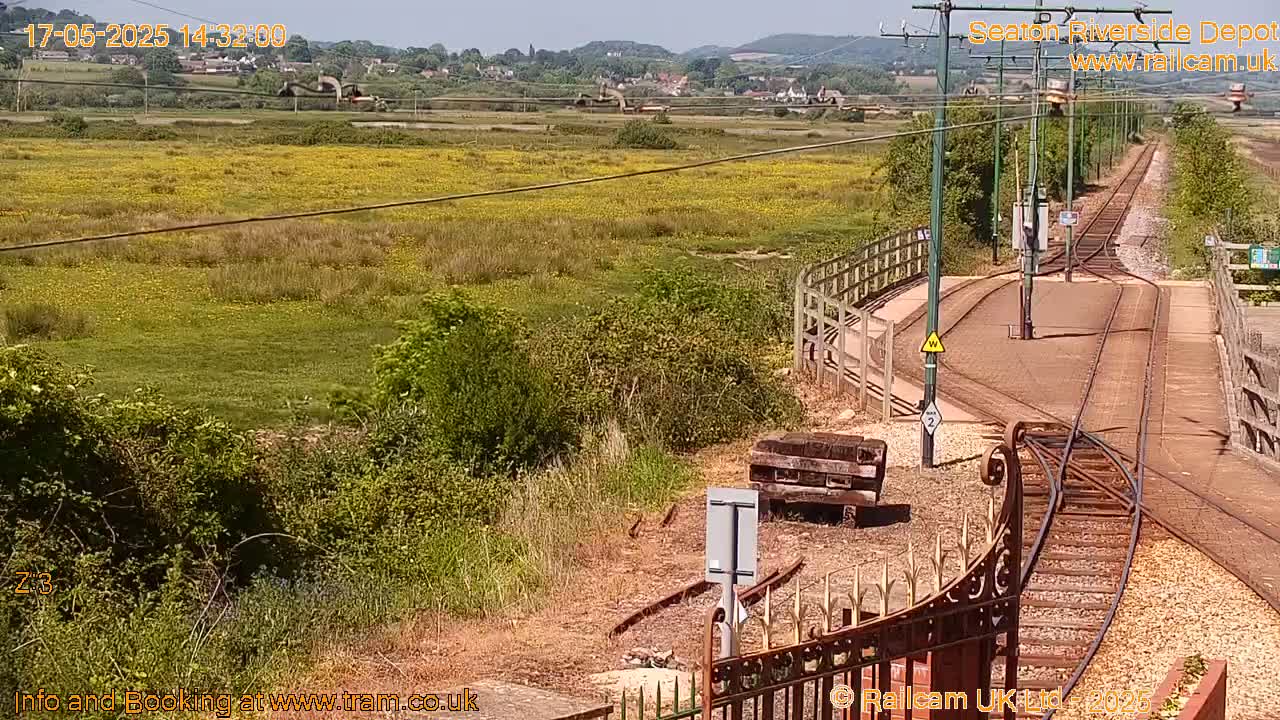 A sunny view of a railway depot with a large field of yellow wildflowers in the background.