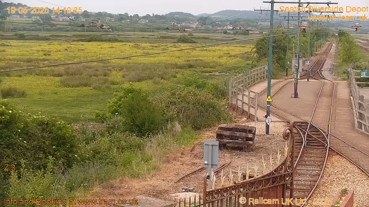 A view of railway tracks splitting into two directions, surrounded by overgrown vegetation and a field of yellow wildflowers under an overcast sky.