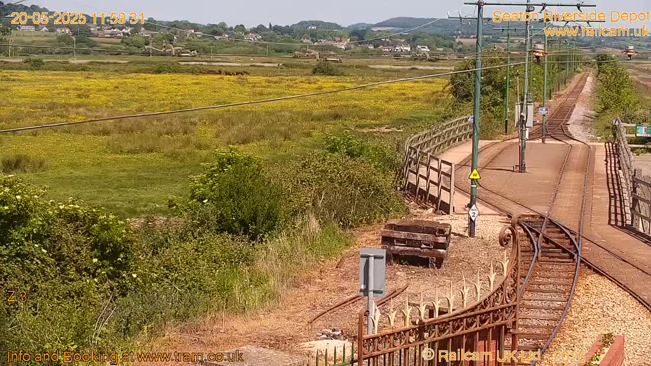 A sunny day shows a train depot with a field of yellow wildflowers in the background, and railway tracks curving towards a bridge.