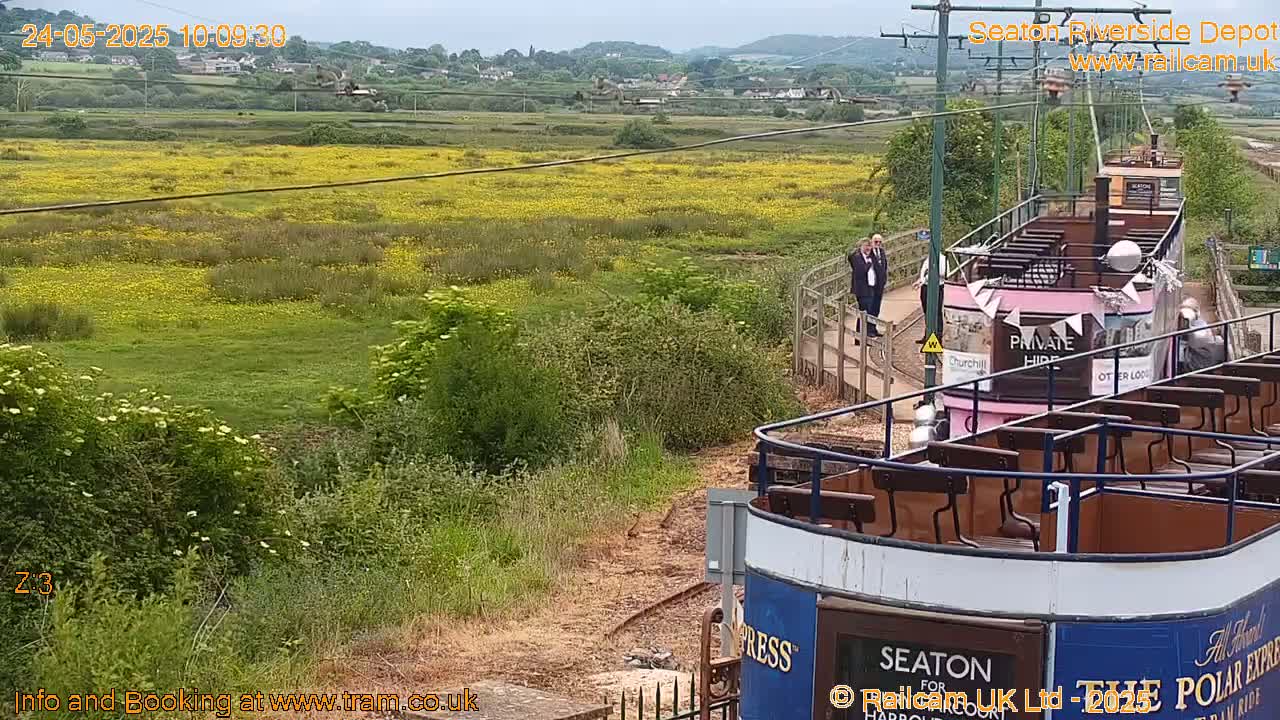 A pink tram decorated for a private hire sits on railway tracks overlooking a field of yellow wildflowers under a cloudy sky.