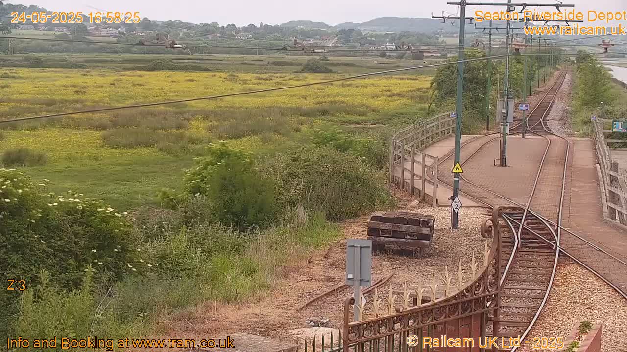 A railway depot with a field of yellow wildflowers in the background under an overcast sky.