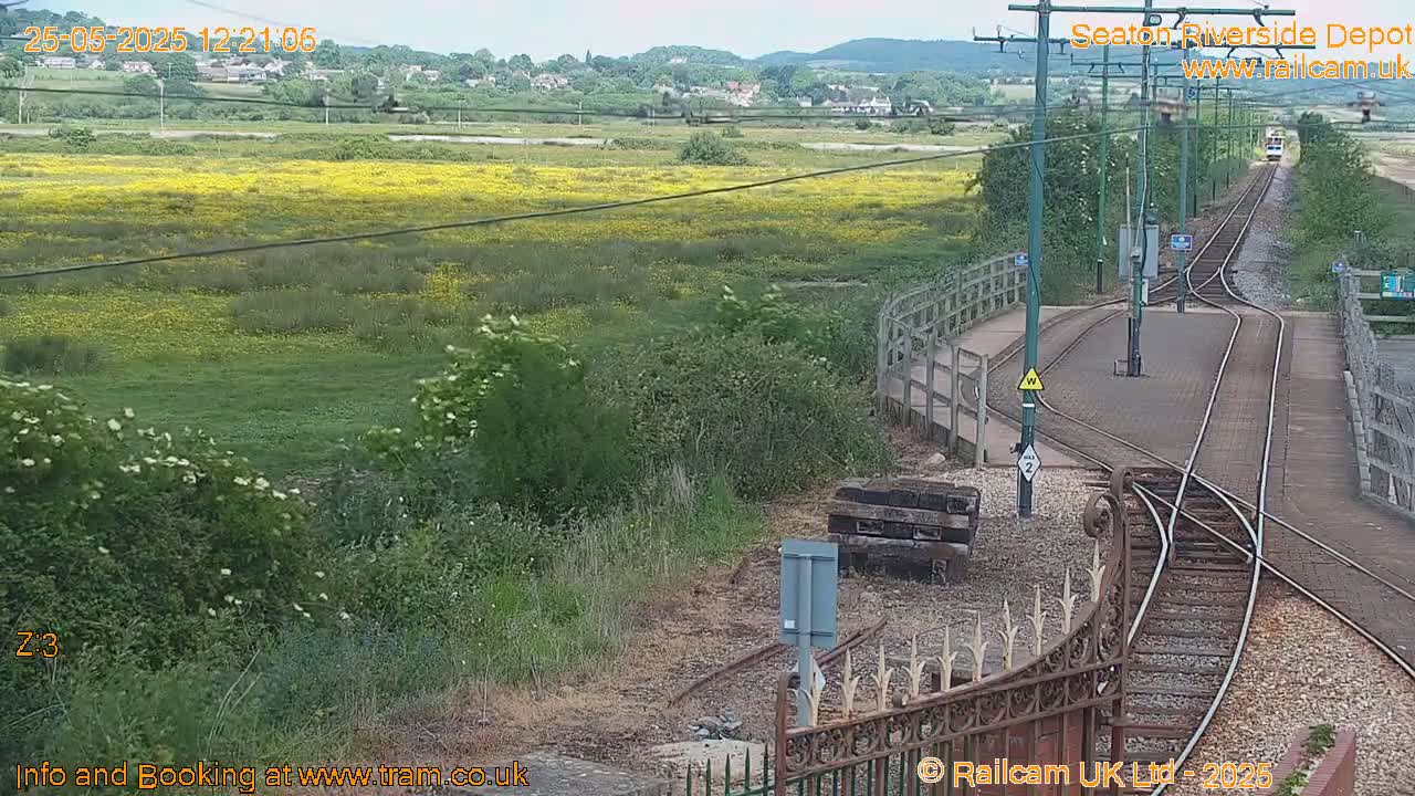 A train approaches a railway junction next to a field of yellow wildflowers under a mostly clear sky.