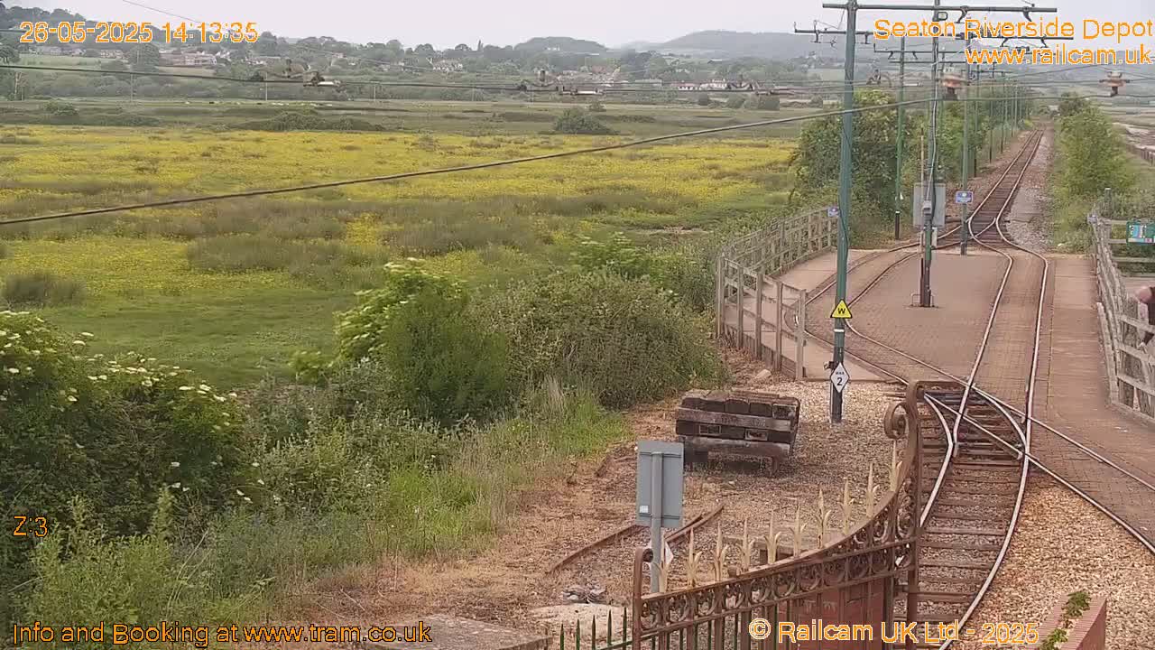 A railway switching yard with several tracks, situated near a field of yellow wildflowers under an overcast sky.