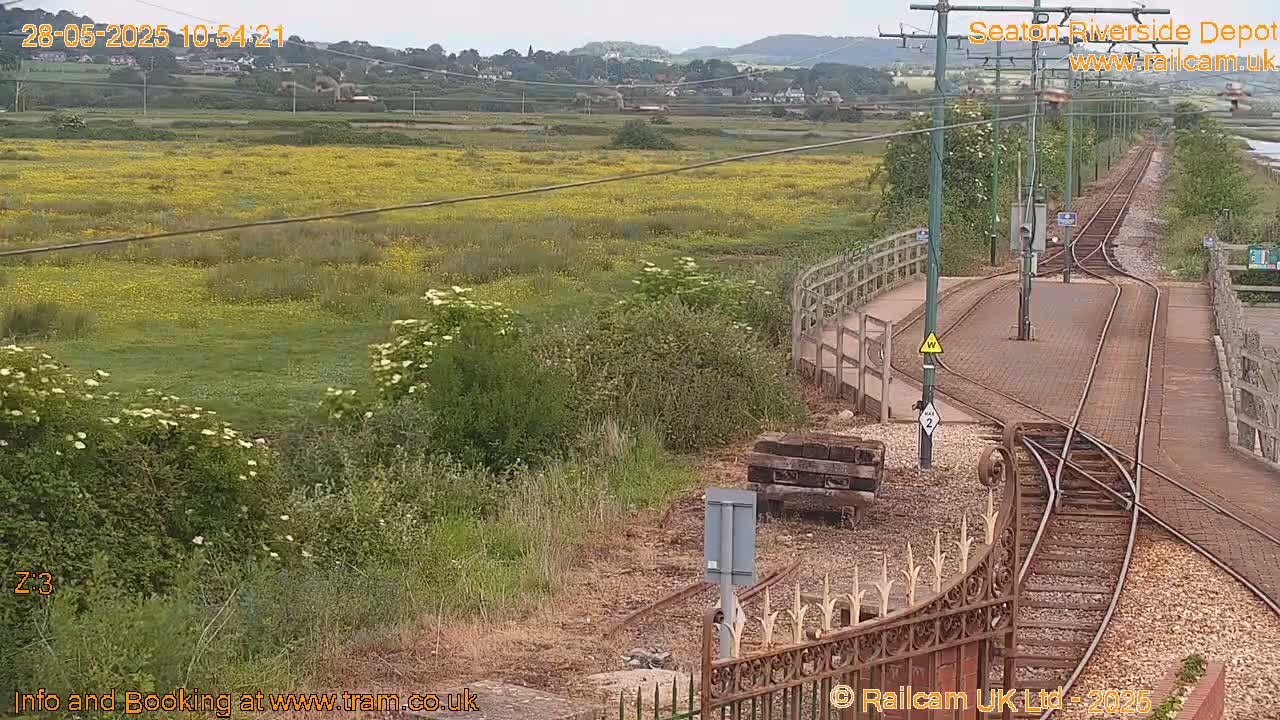 A railway track curves through a depot bordered by a grassy field of yellow wildflowers, under an overcast sky.