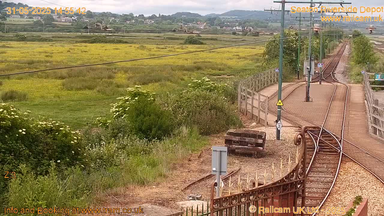 A view of train tracks and a sprawling field of yellow wildflowers under a partly cloudy sky.