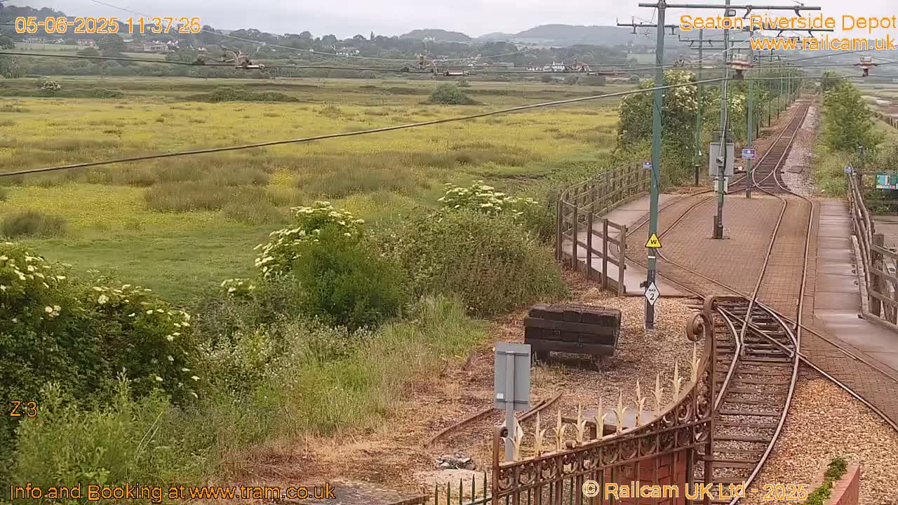 A railway switching yard next to a field of yellow wildflowers under an overcast sky.