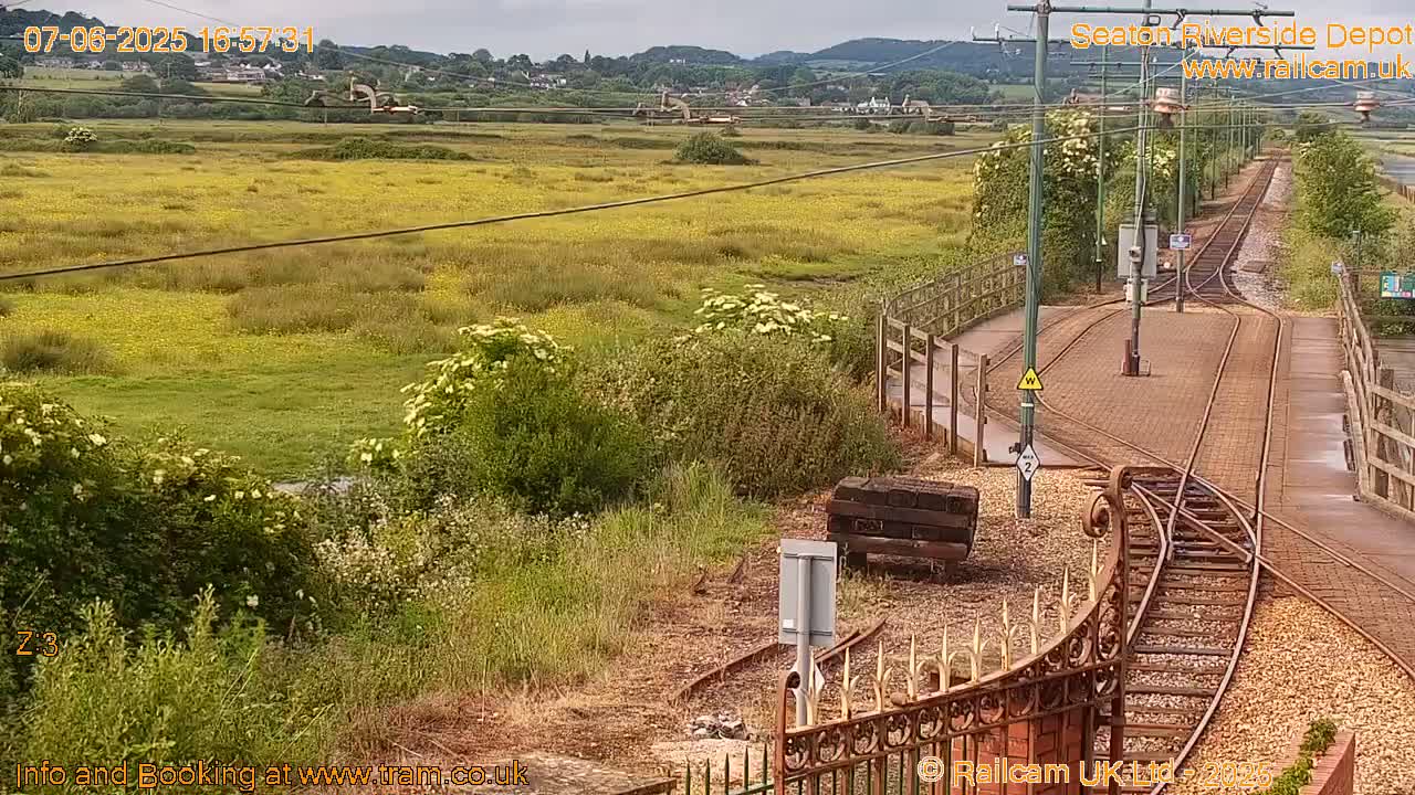 A train track curves through a grassy area with yellow wildflowers, under an overcast sky.