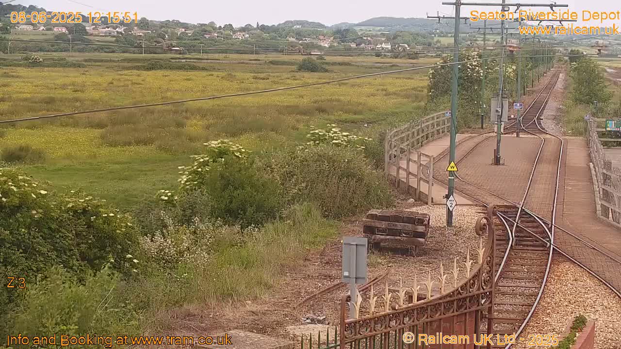 A railway depot with multiple tracks and switches is seen in an overcast outdoor setting, next to a field of yellow wildflowers and green vegetation.