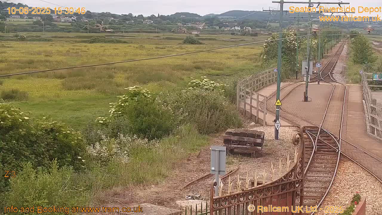 A high-angle view of a train depot's tracks and switch points on an overcast day, next to a field of wildflowers and greenery.