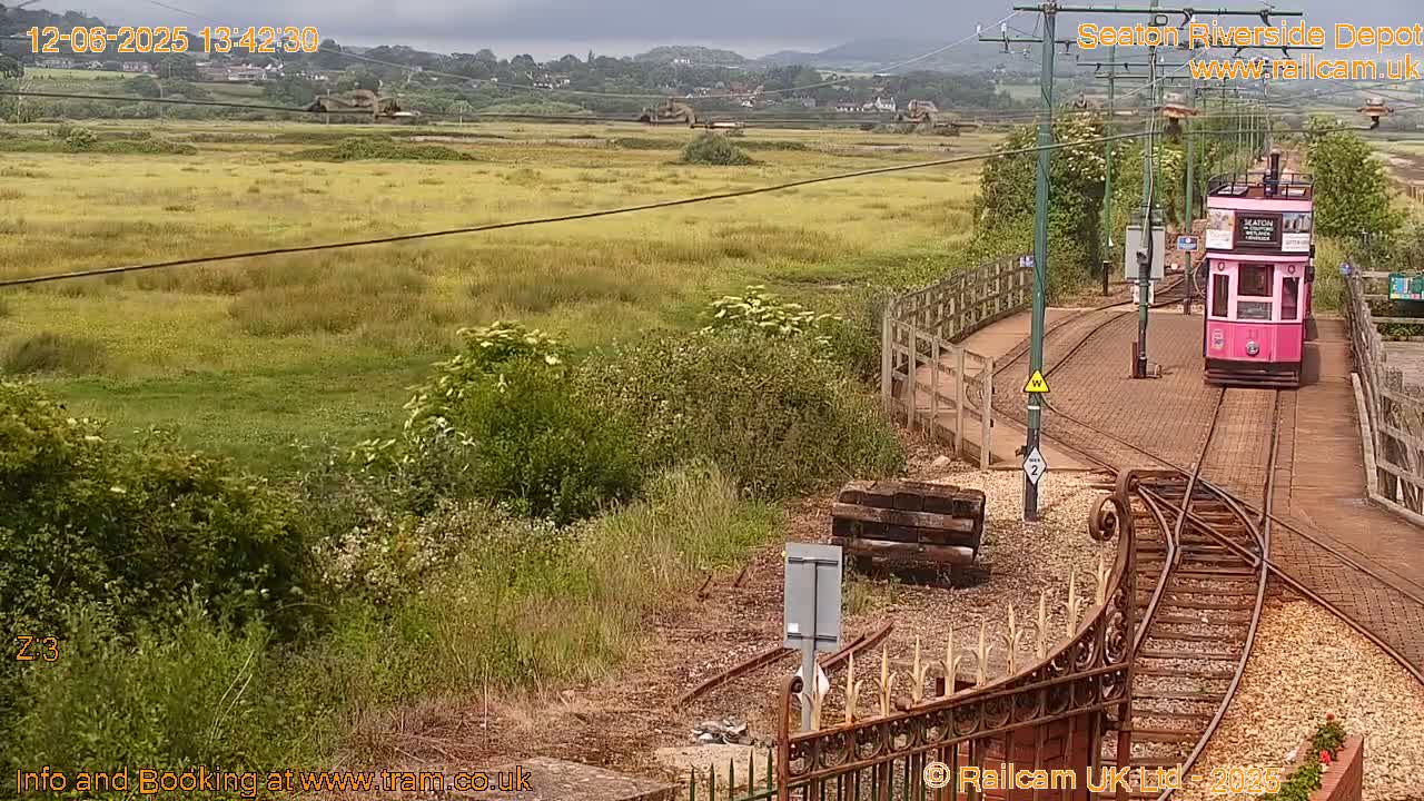 A pink tram travels along train tracks toward a grassy field under an overcast sky.