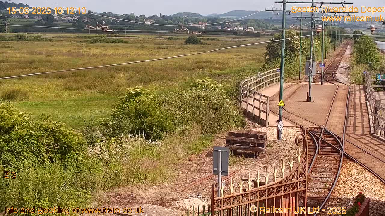 A sunny view of train tracks and a grassy marsh, with a small town visible in the distance.