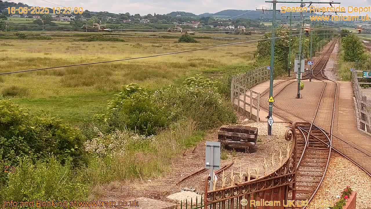 A train depot with multiple tracks, surrounded by overgrown vegetation and a view of a distant, hilly landscape under cloudy skies.