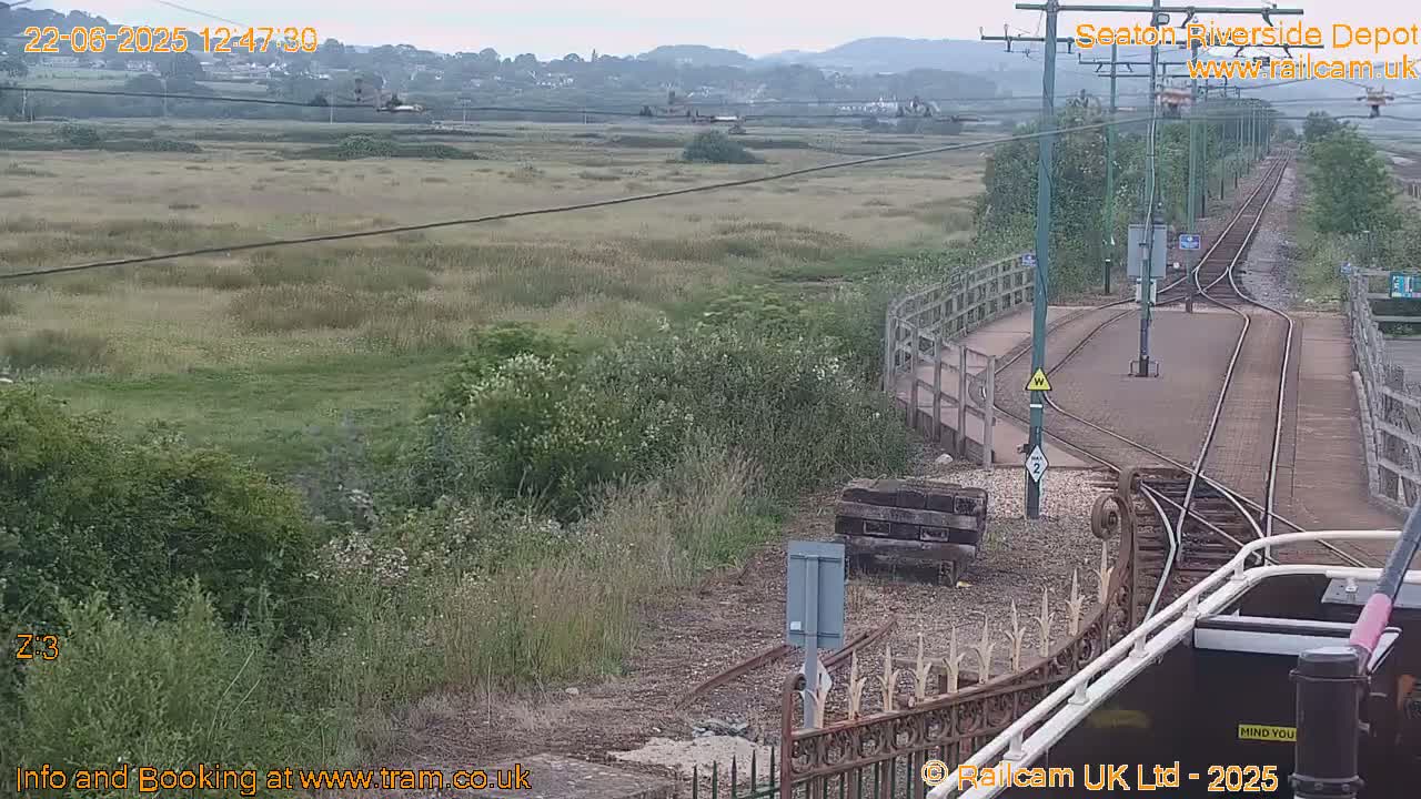 A train depot with railway tracks and overgrown vegetation under an overcast sky.