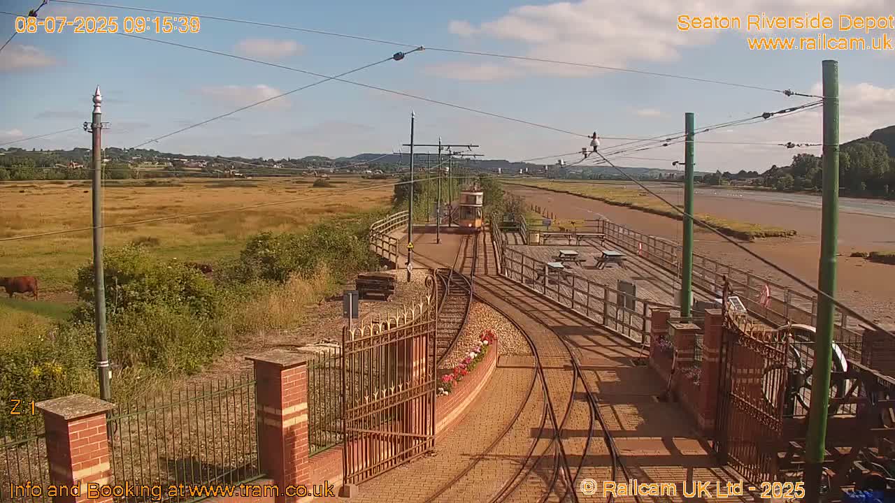 A tram travels along railway tracks beside a body of water under a mostly clear sky; cattle graze in a field nearby.