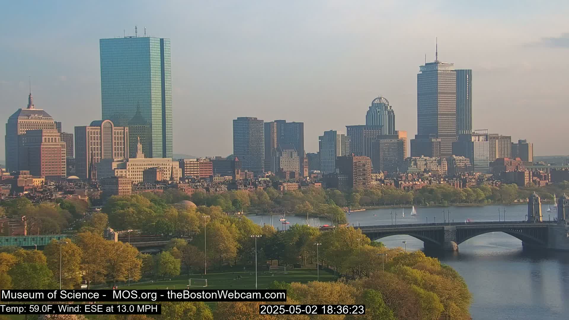 A city skyline with numerous skyscrapers is visible across a calm river, under a clear sky; trees are in bloom along the riverbank and a bridge spans the river.