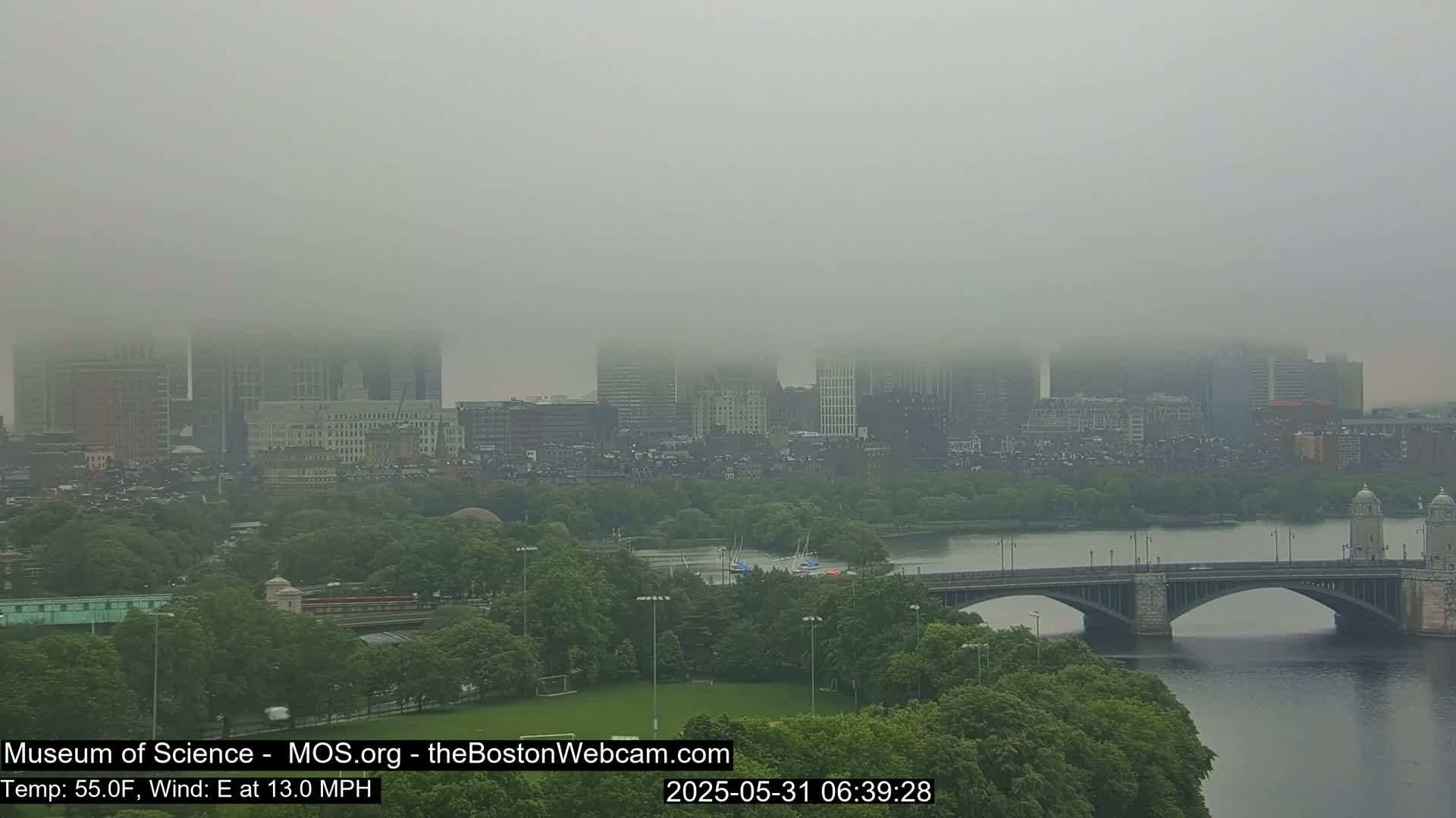 A foggy city skyline is partially obscured by fog, with a bridge spanning a river and green parkland in the foreground.