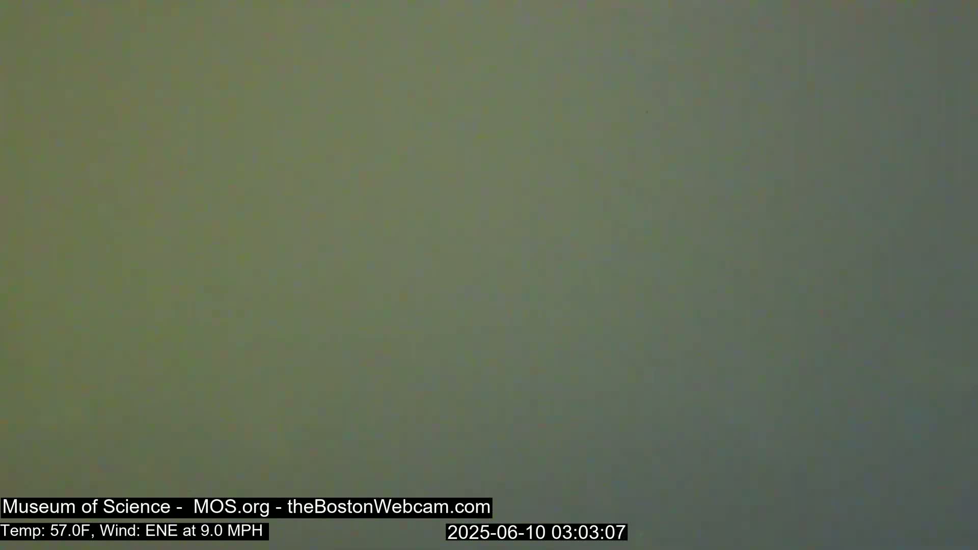 A solid, muted green-grey screen is shown.