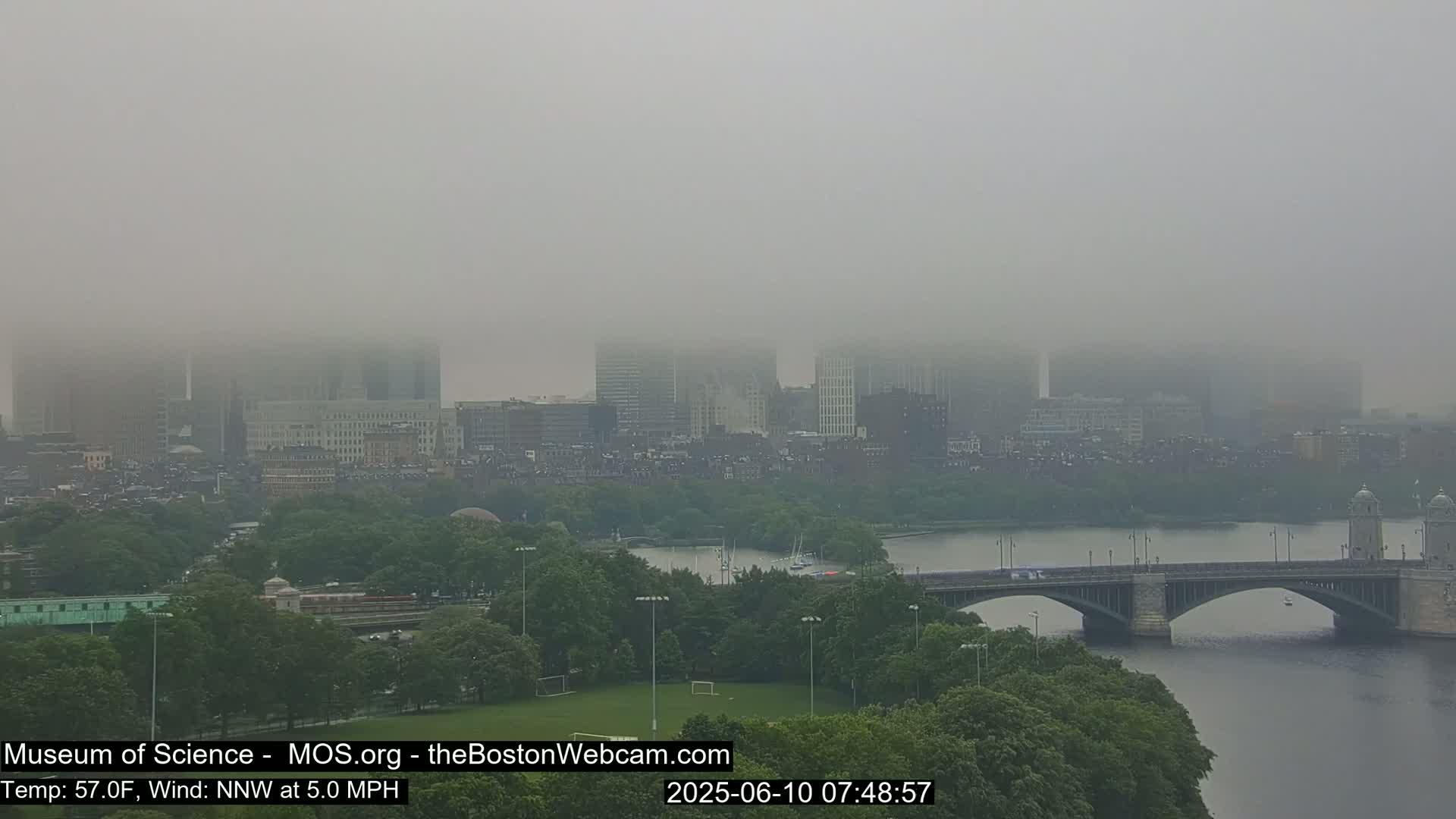 A foggy city skyline is visible across a river and bridge from a high vantage point, with lush green trees and a grassy field in the foreground.