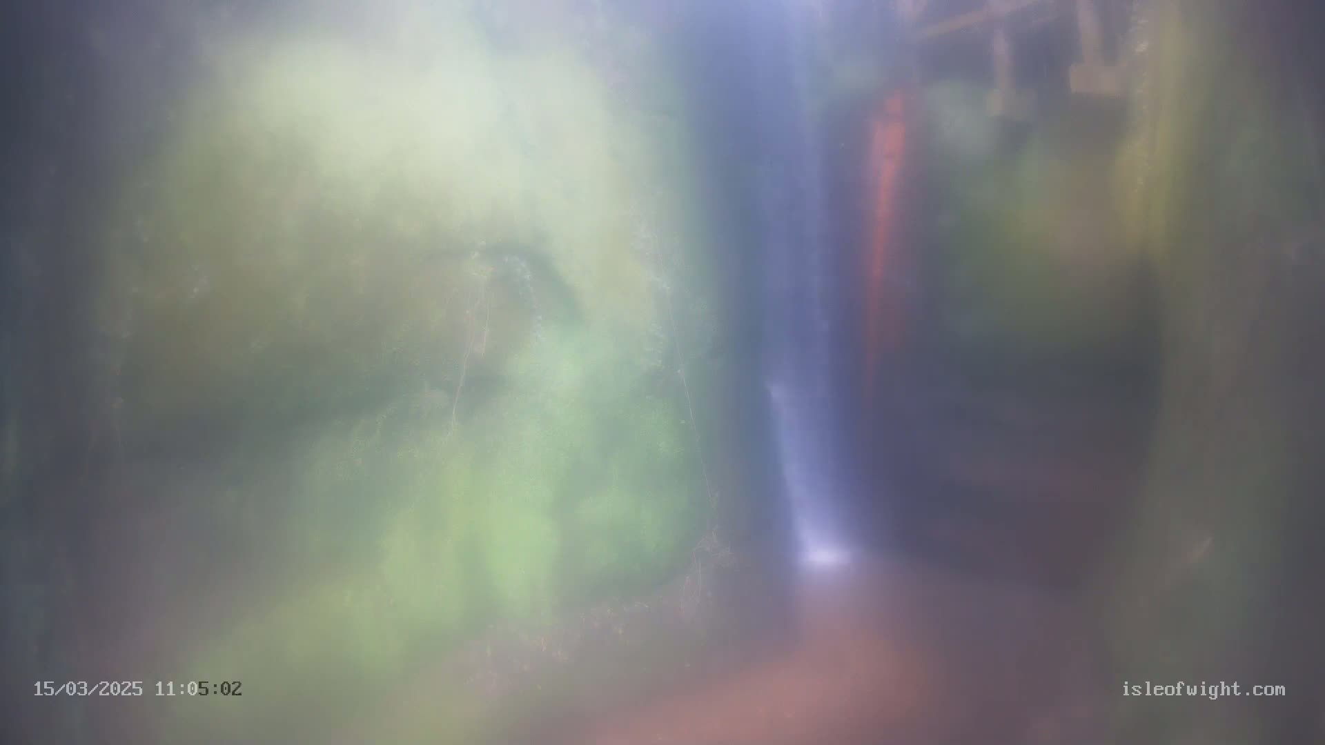 A blurry, hazy view shows a narrow, light-colored stream flowing through a dark, mossy, and verdant environment.