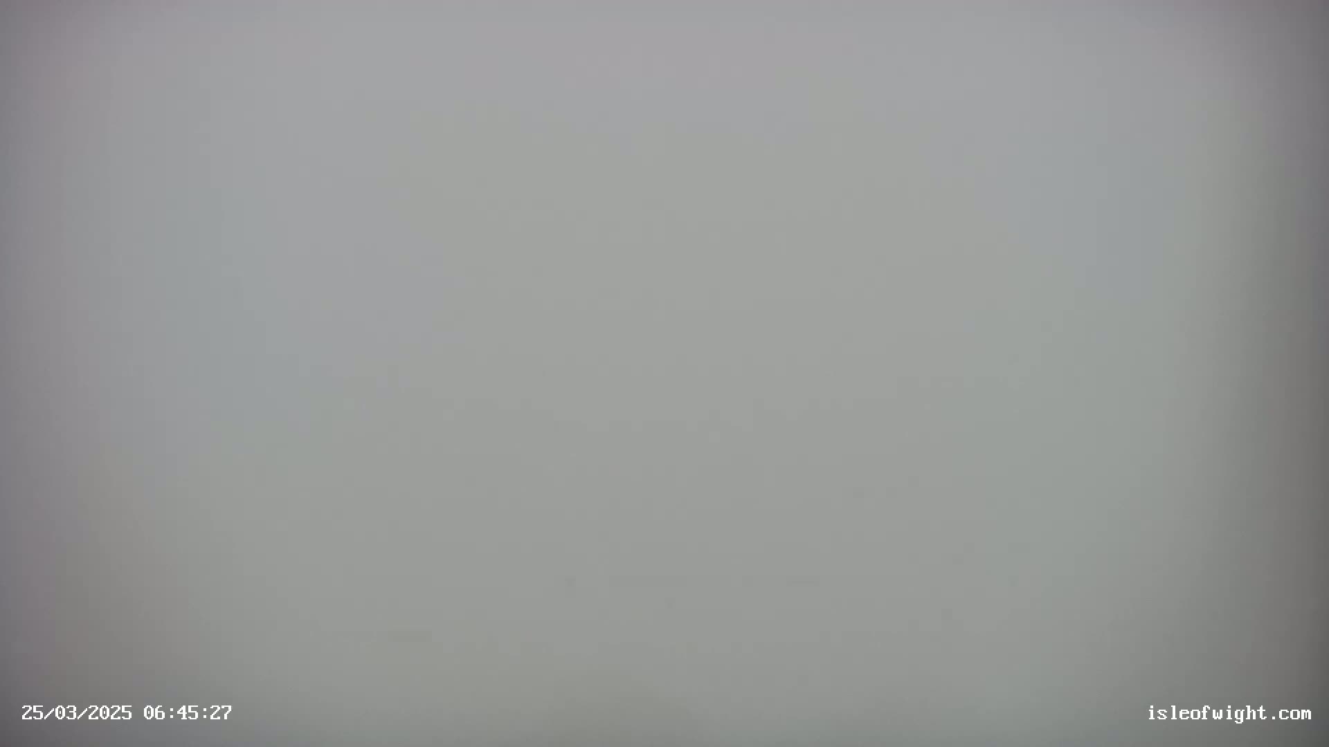 A uniformly light gray scene is visible, appearing to be overcast or foggy.