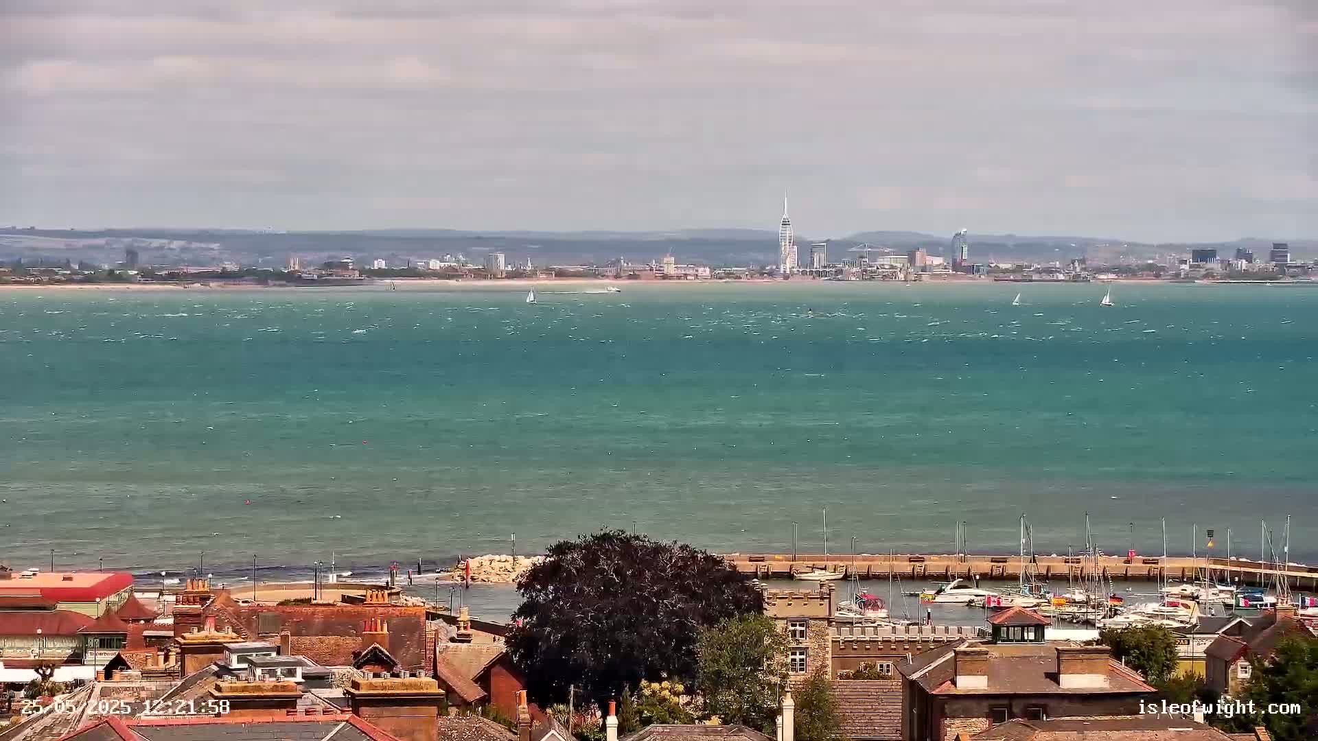 A view of a city skyline across a choppy, teal-colored body of water, with a small harbor and residential buildings in the foreground under a cloudy sky.