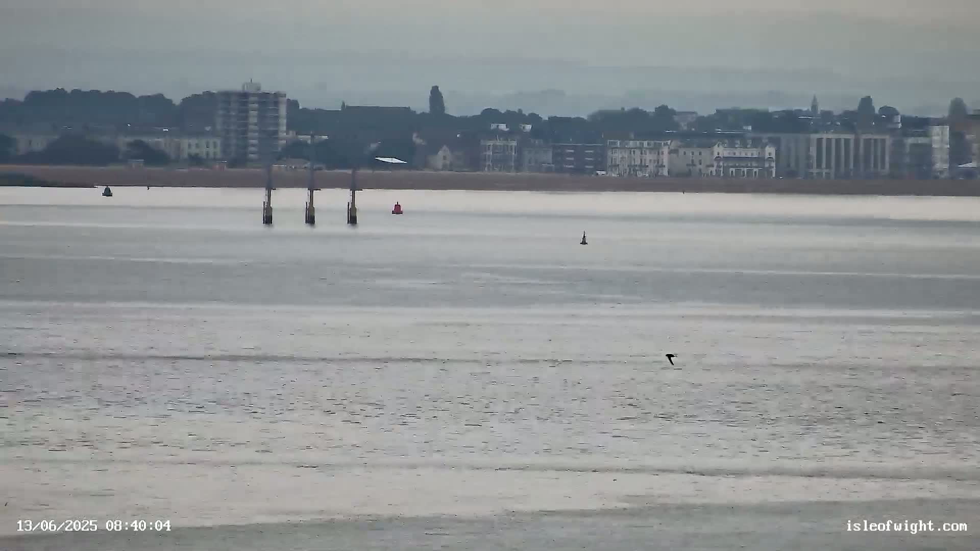 A calm, overcast day shows a body of water with a distant shoreline featuring buildings, and several markers and a bird are visible in the water.