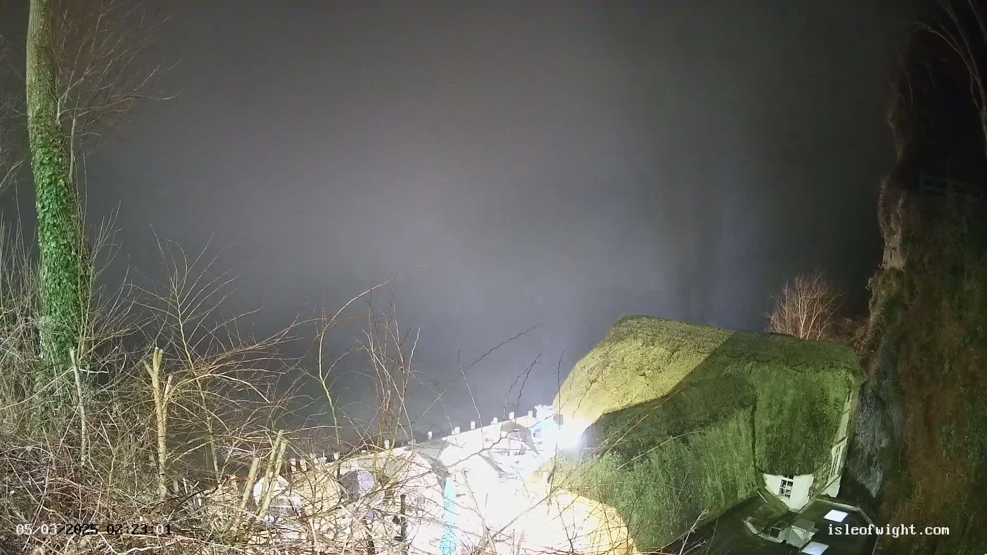 A fog-shrouded nighttime scene features a thatched-roof house partially visible behind bare winter branches, with a building illuminated below.