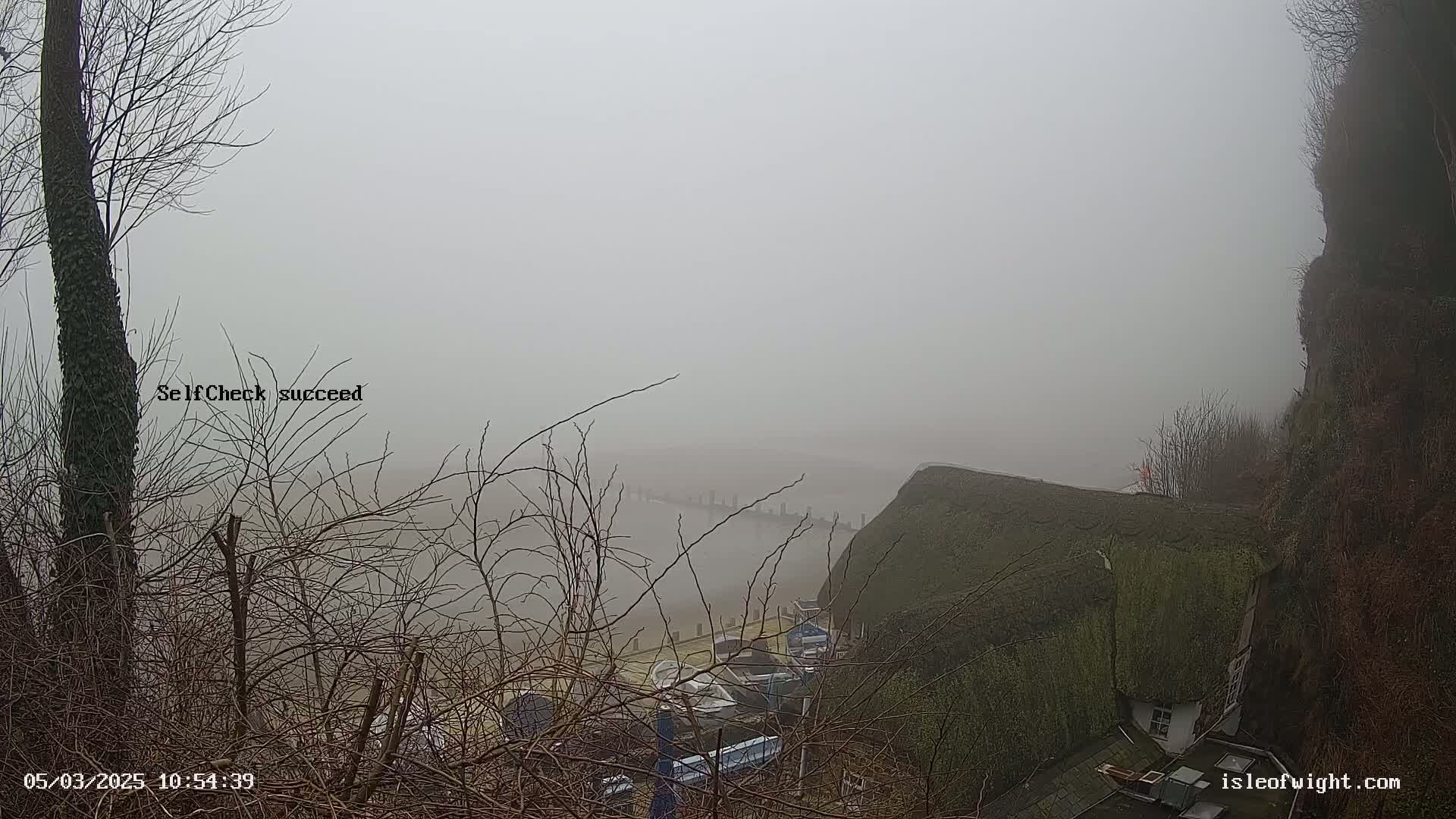 A foggy view overlooking a harbor with several small boats, a thatched roof house, and bare winter branches in the foreground.