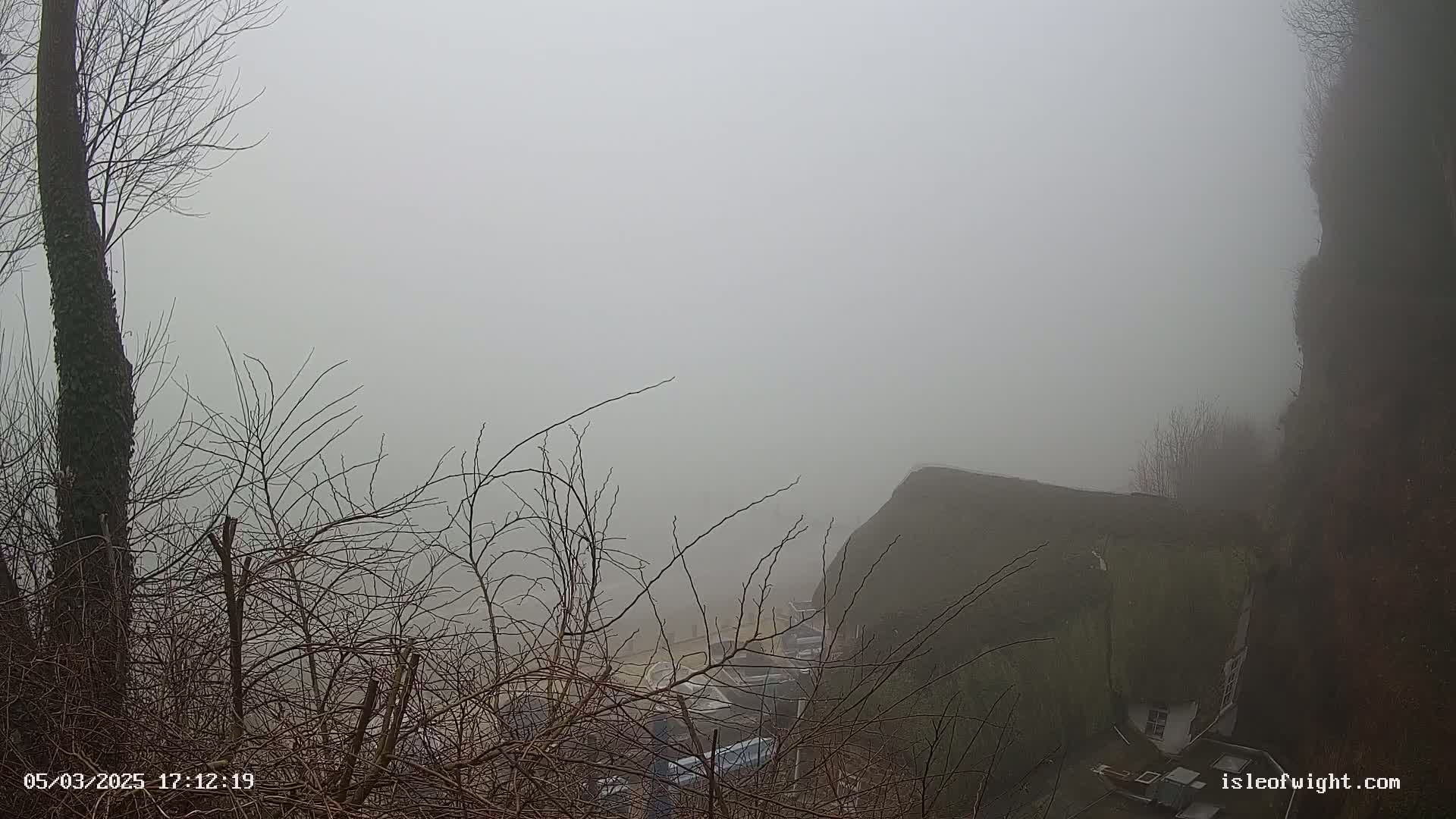 A foggy scene shows bare winter branches in the foreground, partially obscuring a view of a building nestled into a cliffside below.
