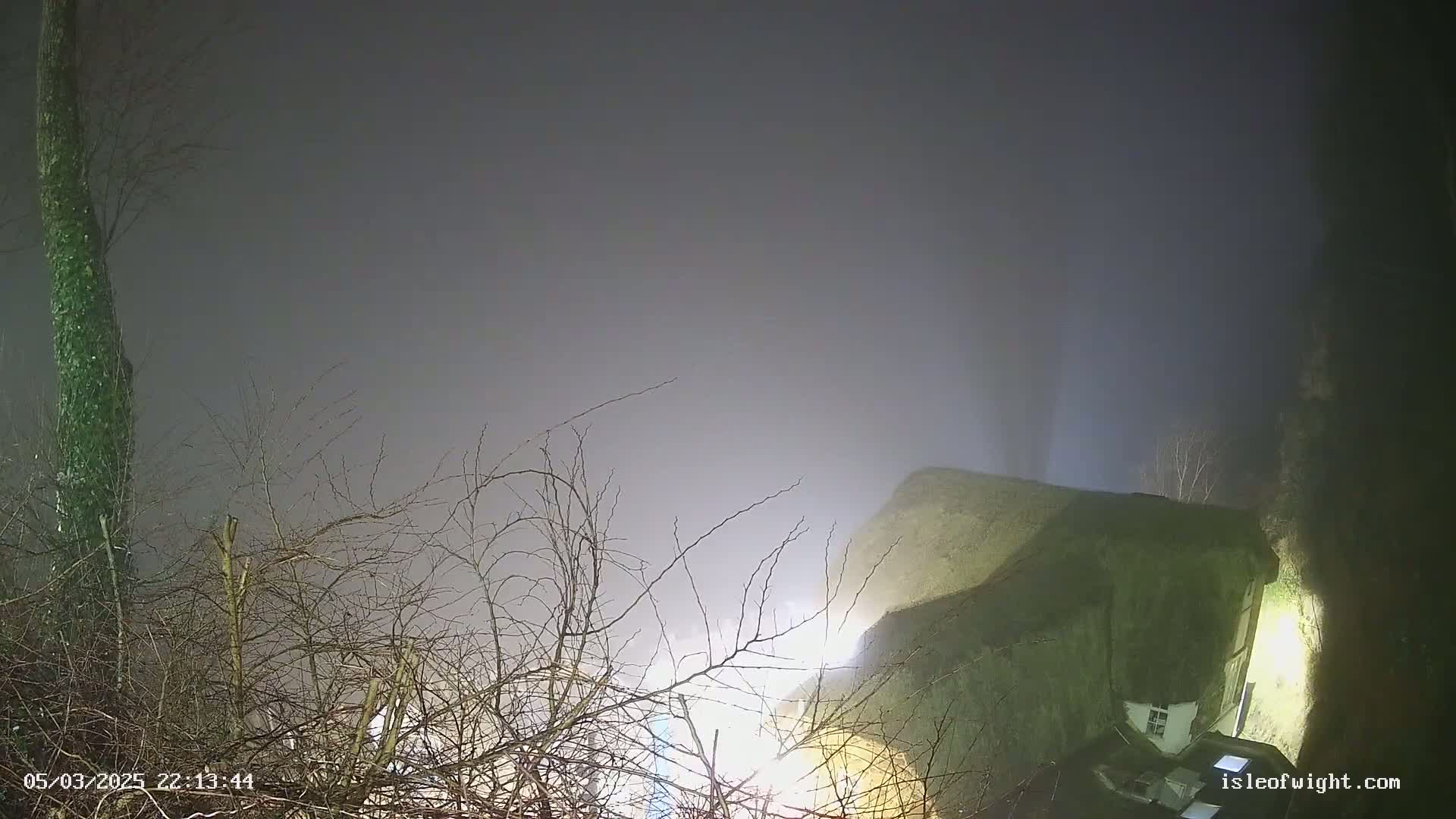 A fog-shrouded building is partially visible through bare branches of trees at night.