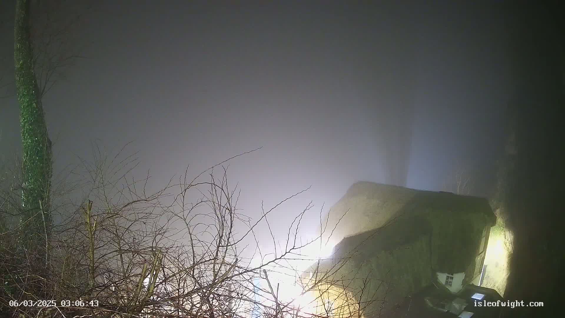 A large, dark structure is partially visible through a thick fog at night, with bare branches of trees in the foreground.
