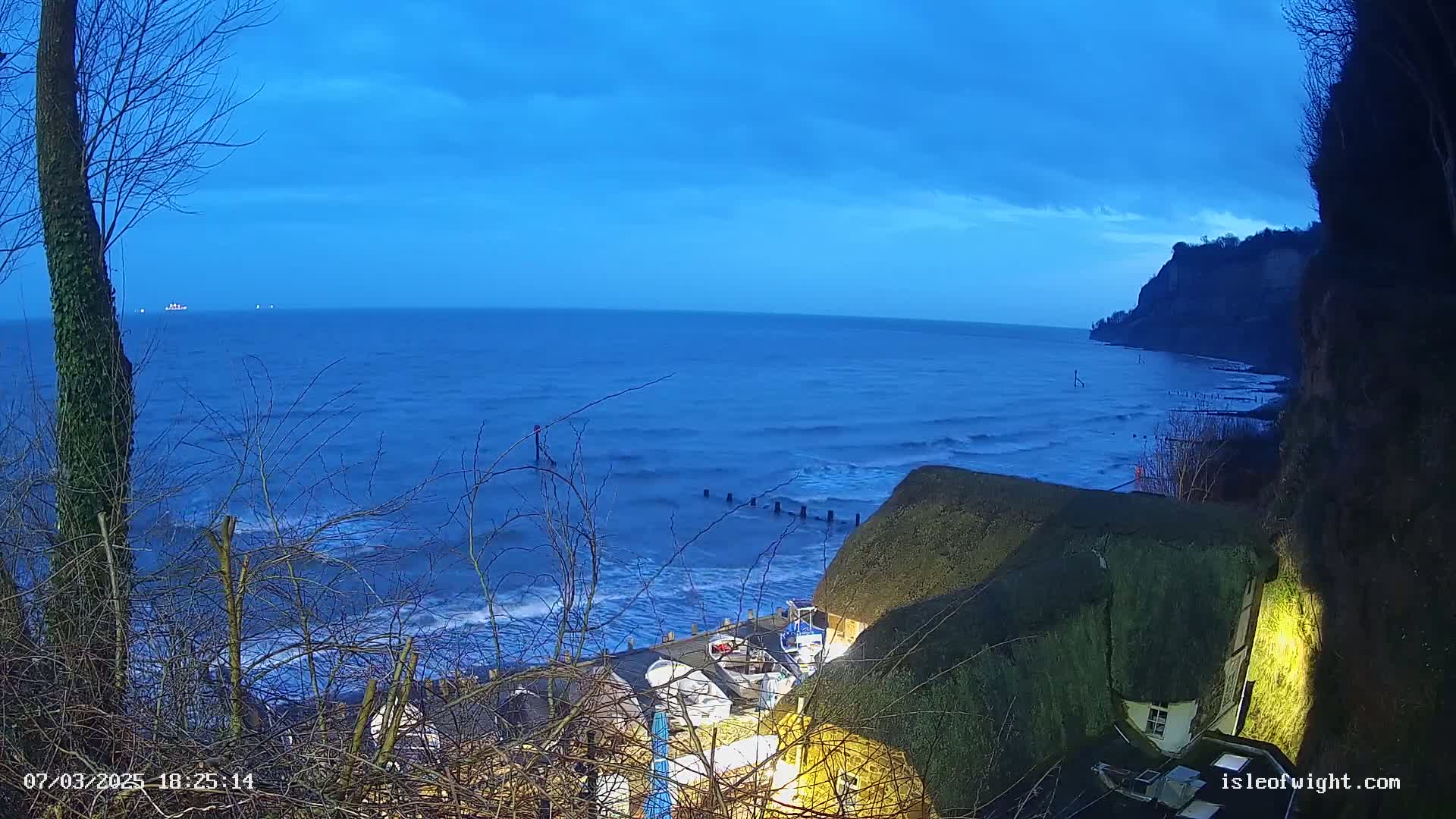 A seaside scene at twilight shows a dark blue ocean with small waves breaking near a rocky shoreline, partially obscured by the branches of trees and a thatched roof building.