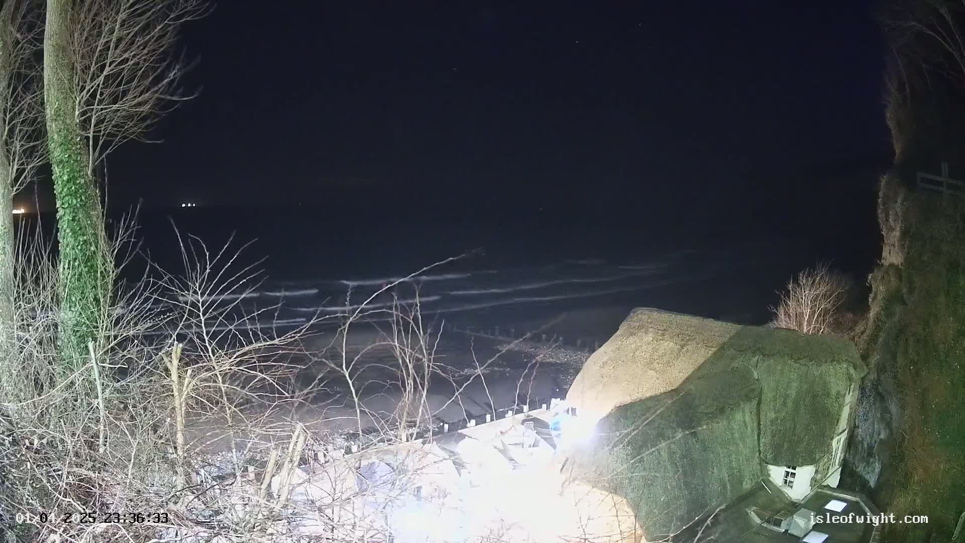 A nighttime view of a dark, wavy ocean under a mostly clear sky, with bare winter trees and a thatched-roof building partially visible in the foreground.