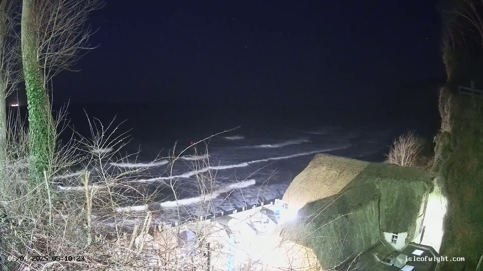 A nighttime view of a dark, wavy ocean under a clear, starry sky, partially obscured by bare trees and a thatched roof building.