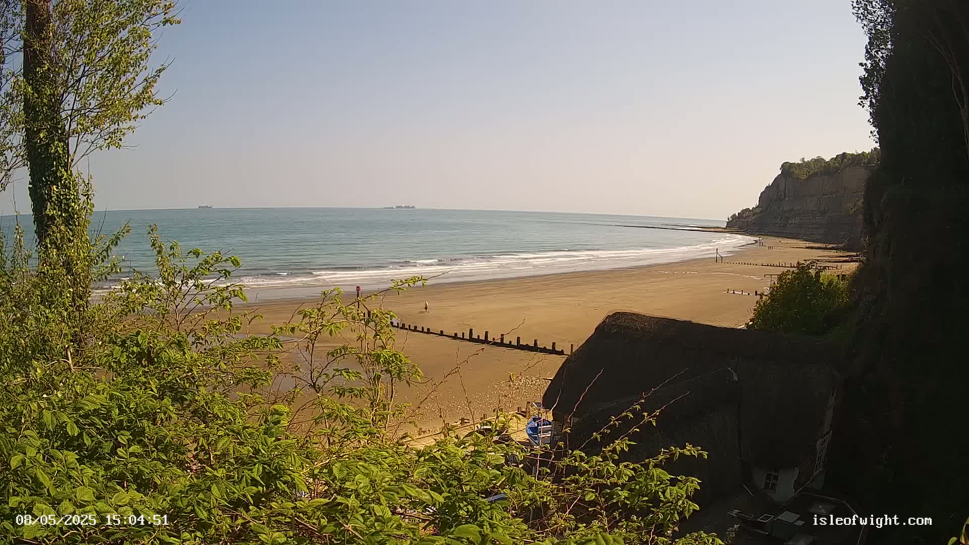 A sandy beach stretches below a rocky cliff on a sunny day, partially obscured by vegetation in the foreground.