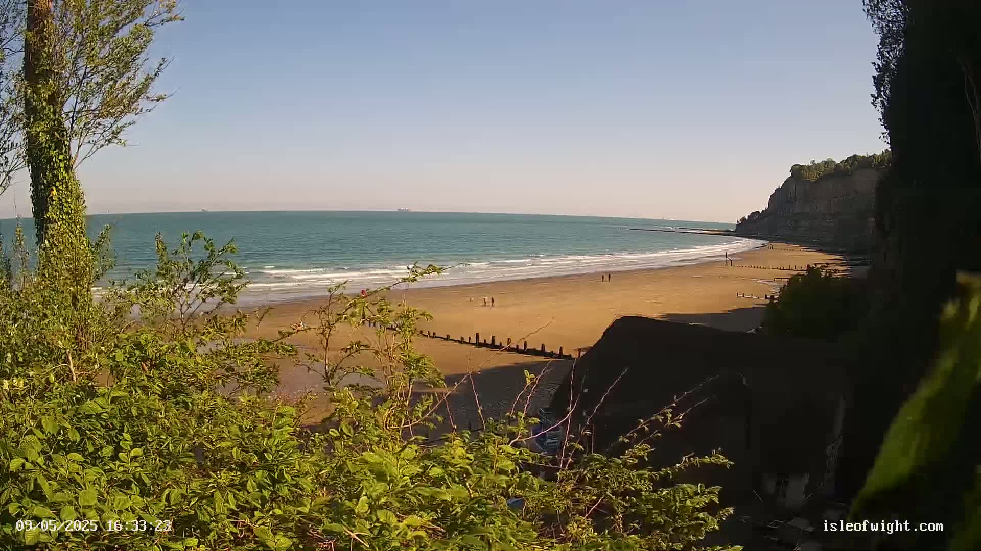A sandy beach stretches along a calm sea under a clear blue sky, partially obscured by overhanging foliage, with a few people visible on the shore and a cliff face in the background.