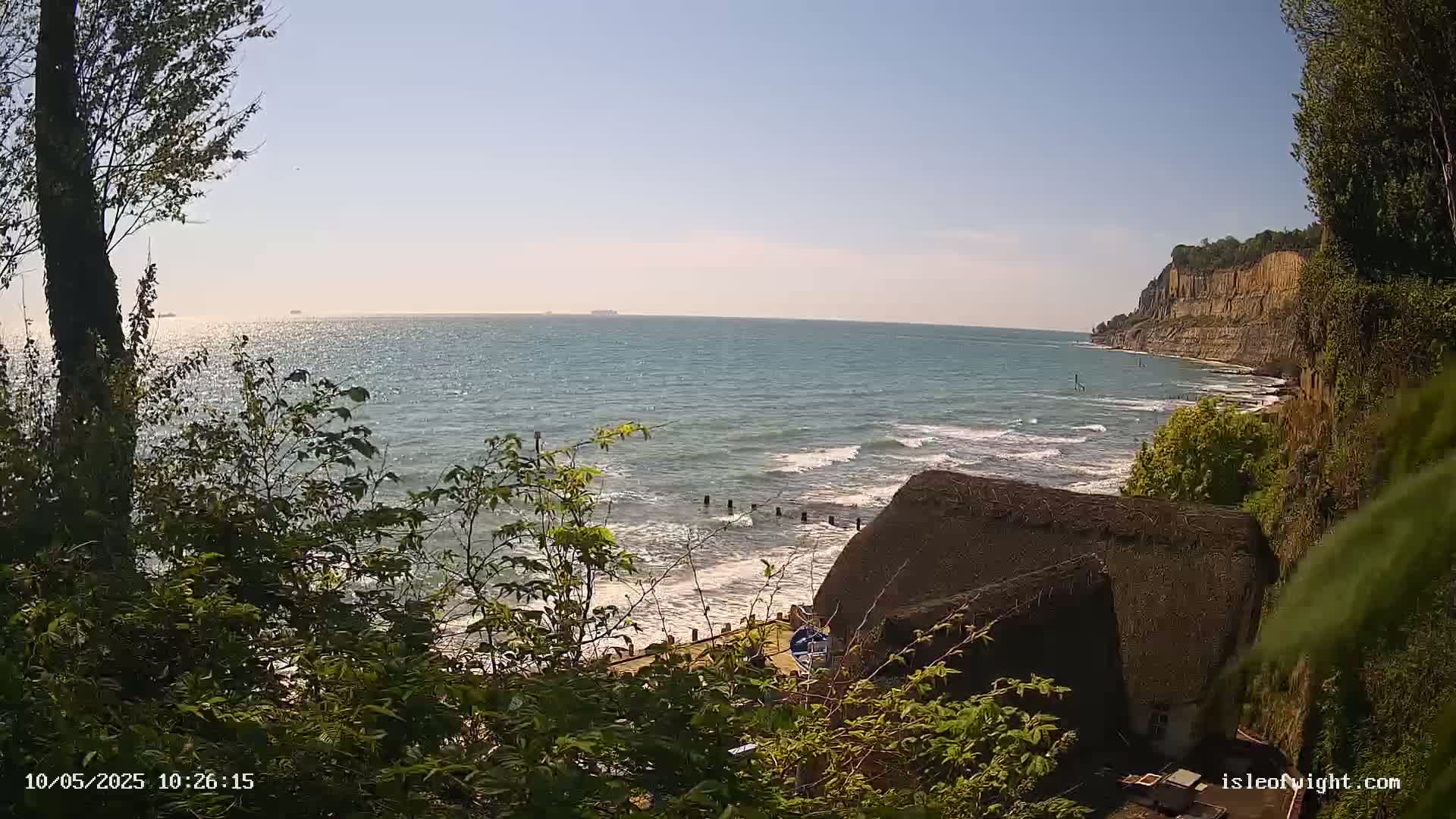 A view from behind vegetation shows a calm ocean with small waves lapping a beach below a cliff, partially obscured by foliage and a thatched roof structure.