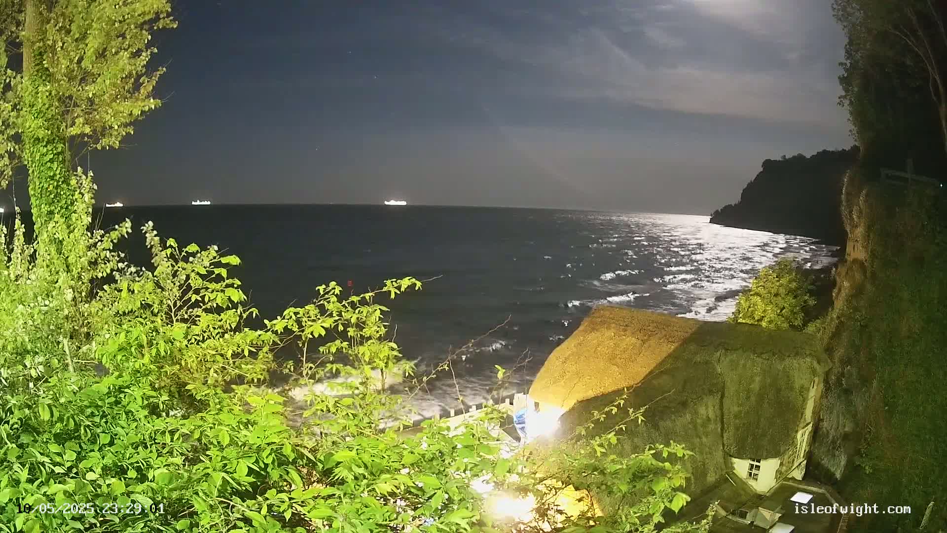 Under a partly cloudy night sky, a moonlit sea with small waves laps against a rocky shoreline, partially obscured by lush green foliage and a thatched-roof building.