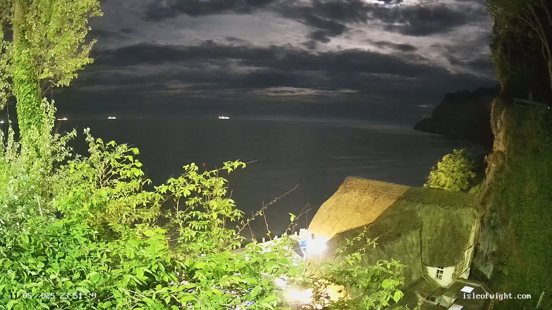 A nighttime view of a dark sea with a few distant lights, partially obscured by lush green foliage and a thatched-roof building on a cliff, under a cloudy moonlit sky.