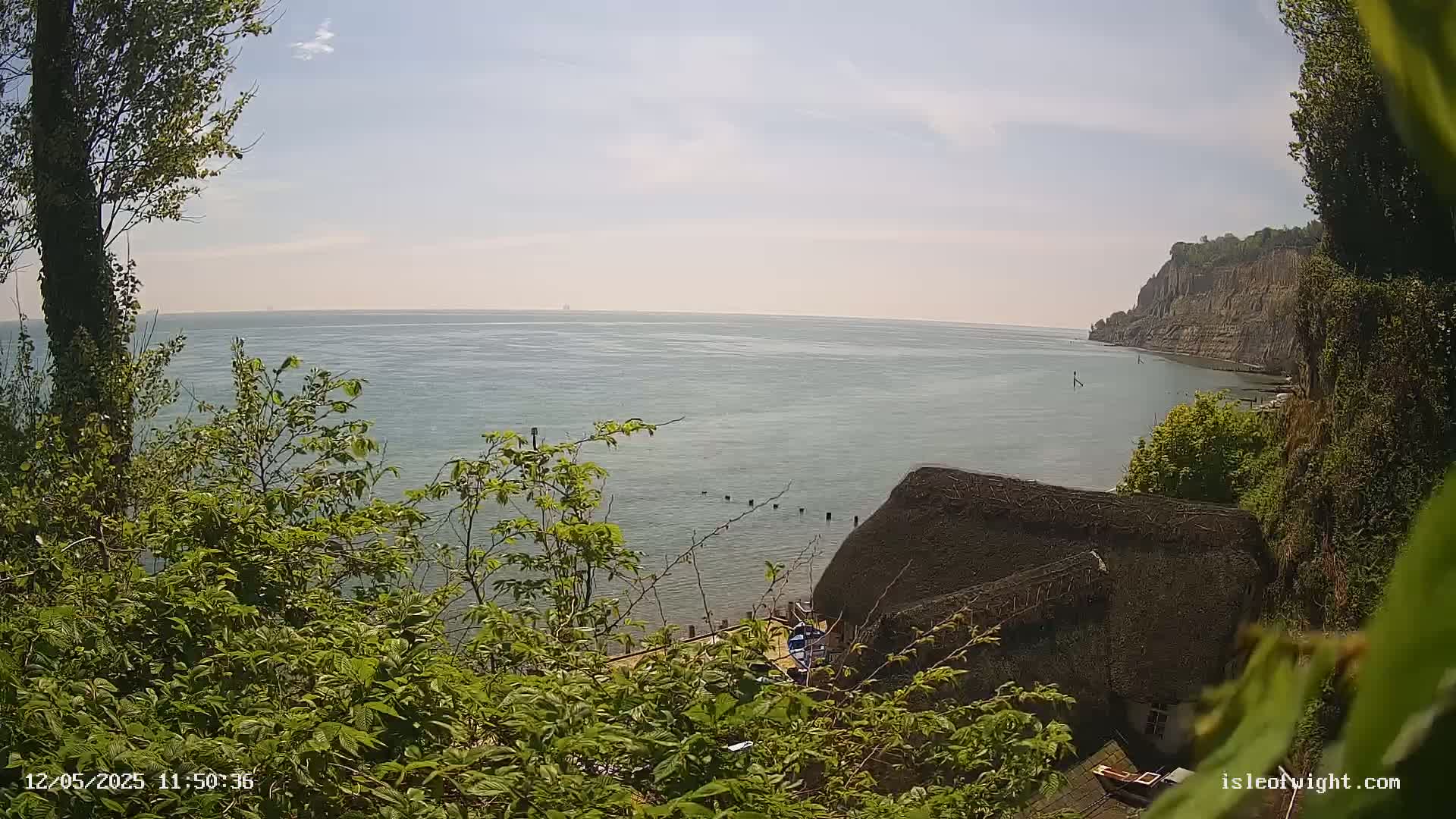 A calm, sunny day overlooks a body of water with a cliff face in the distance, partially obscured by lush green vegetation and a thatched roof building.