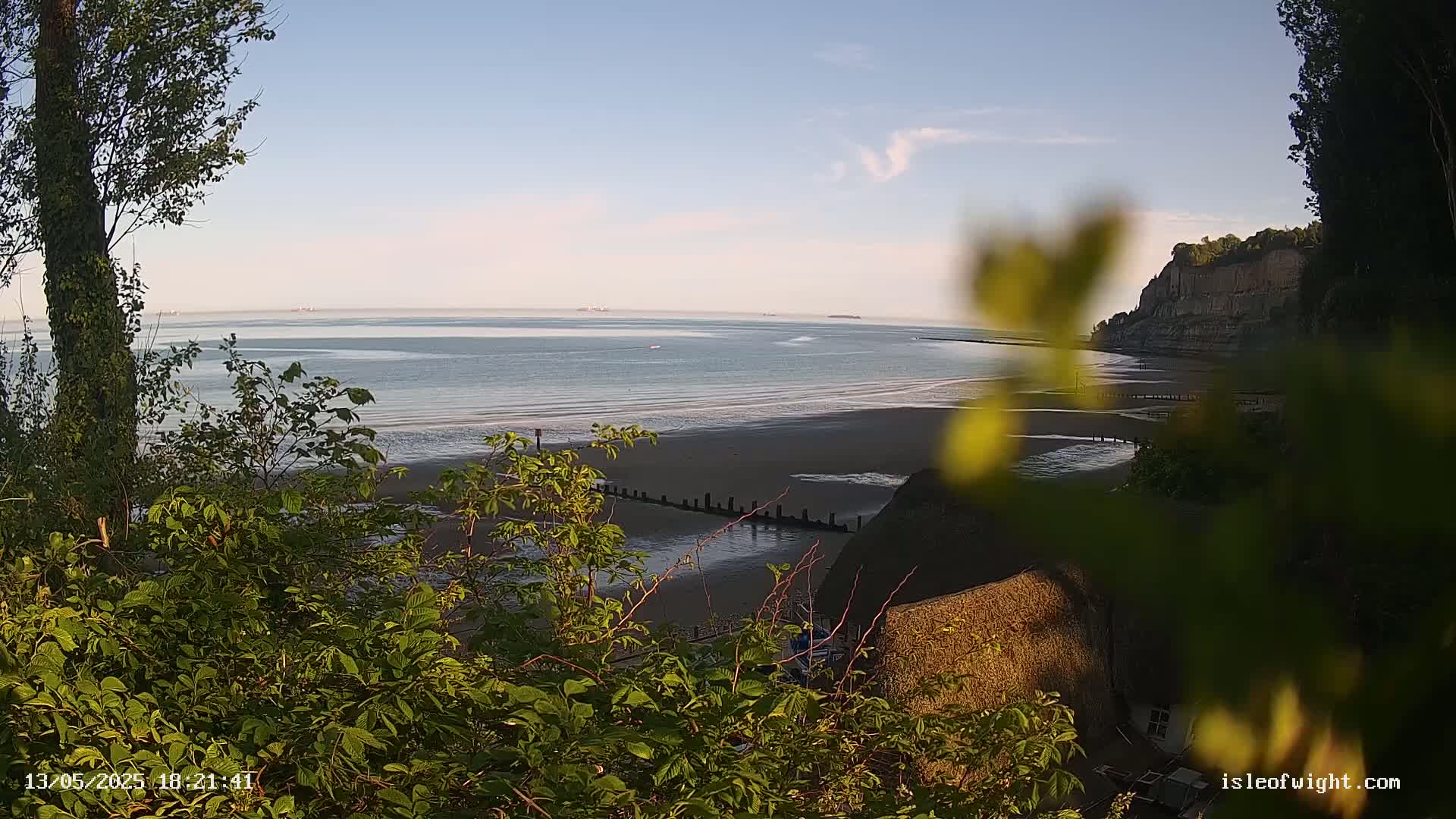 A calm, clear day reveals a view of a sandy beach, a calm sea, and a cliff face partially obscured by leafy vegetation in the foreground.