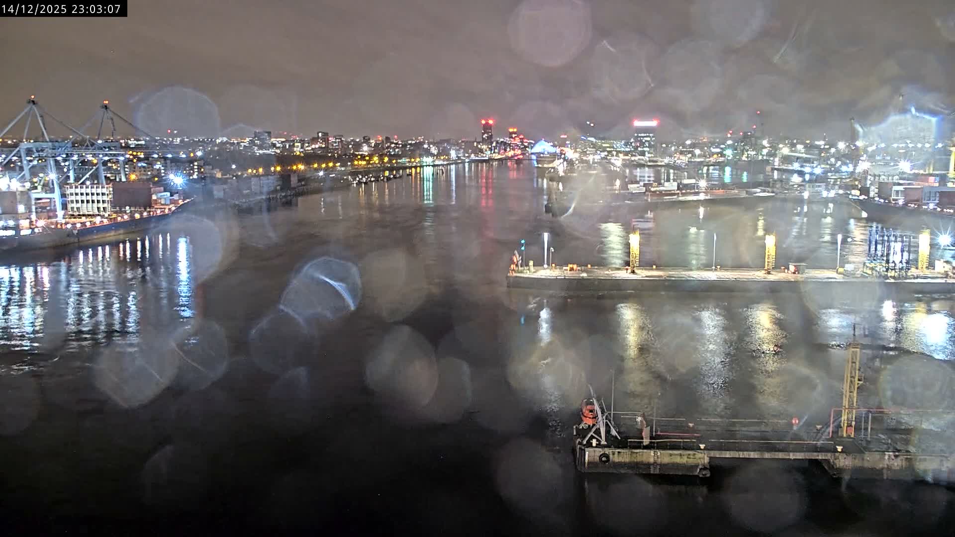 The image displays a dark teal background featuring a large, bold pink line of text at the top, followed by several smaller white lines of text, and a pink initial "D" graphic with more white text at the bottom.