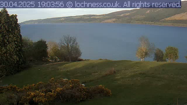 A calm, blue lake stretches out behind a grassy hill dotted with trees and a few sheep, under a mostly clear sky.
